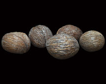 Indian Natural Dried
Indian Natural Dried Exporter
Natural Dry Flower
Bulk Dried Wholesale
Dried Flower Arrangements