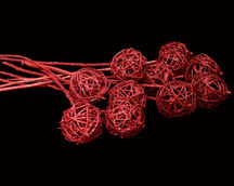 Indian Natural Dried
Indian Natural Dried Exporter
Natural Dry Flower
Bulk Dried Wholesale
Dried Flower Arrangements