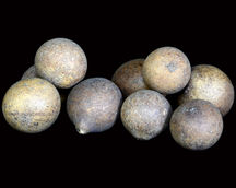 Natural Indian Dry Flower
Natural Dried Florals
House Decoration items
Indian Drieds
Home decor cheap