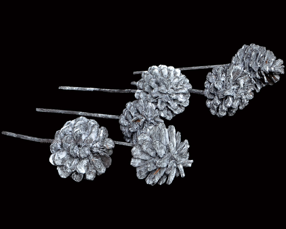 Euro Cone Mix White Wash Black on Bamboo Stem