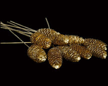 Indian Natural Dried
Indian Natural Dried Exporter
Natural Dry Flower
Bulk Dried Wholesale
Dried Flower Arrangements