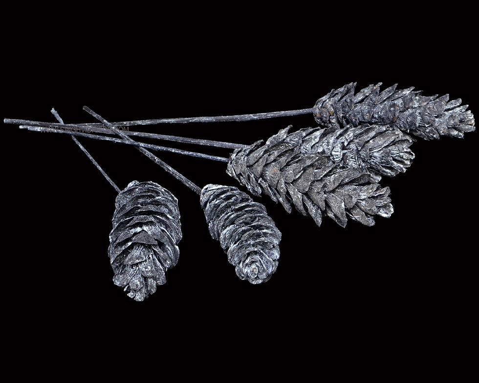 Strobus Mix White Wash Black on Bamboo Stem