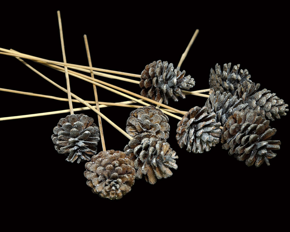 Euro Cone Mix Natural with White Glitter on Bamboo Stem