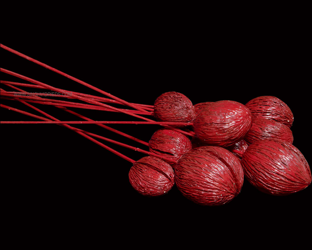 Mintolla Ball Painted Red on Bamboo Stem