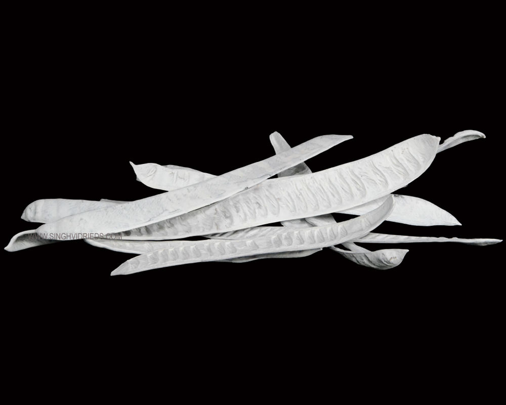 Step Fruit Snow White