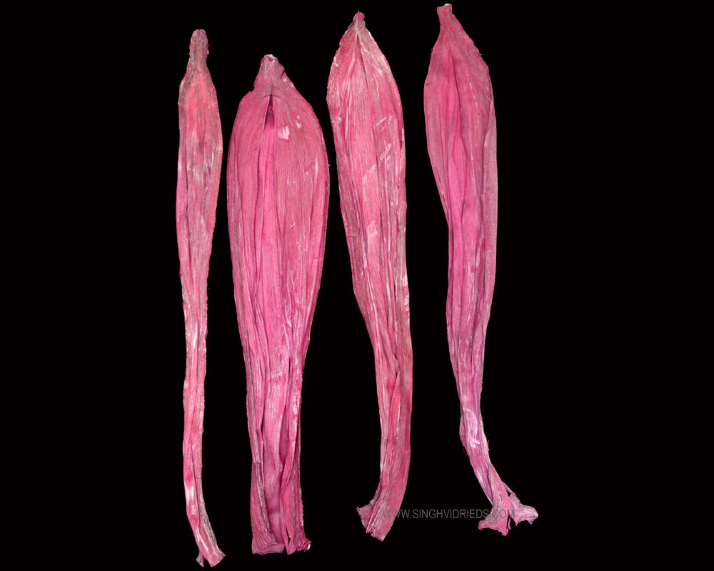 Nut Leaf White Wash Erika