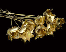 Indian Natural Dried
Indian Natural Dried Exporter
Natural Dry Flower
Bulk Dried Wholesale
Dried Flower Arrangements