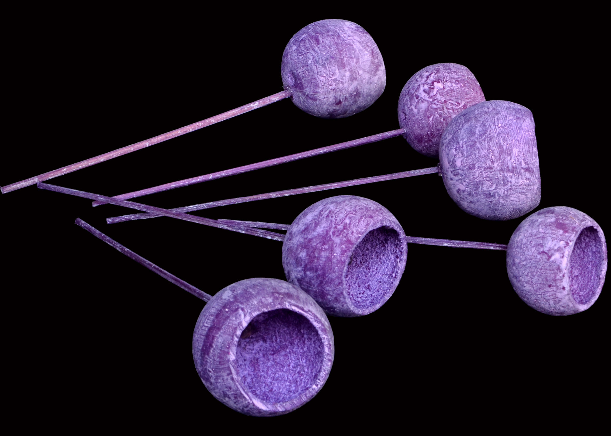 Bell Cup Mix White Wash Dark Erika on Bamboo Stem