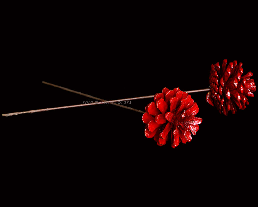 Euro Cone Mix Painted Red on Wire Stem