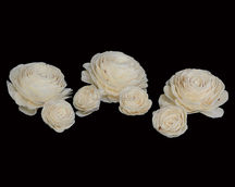 Indian Sola
Natural Sola
Sola Arrangements
Unique Home Decor
Dried Flower Sola