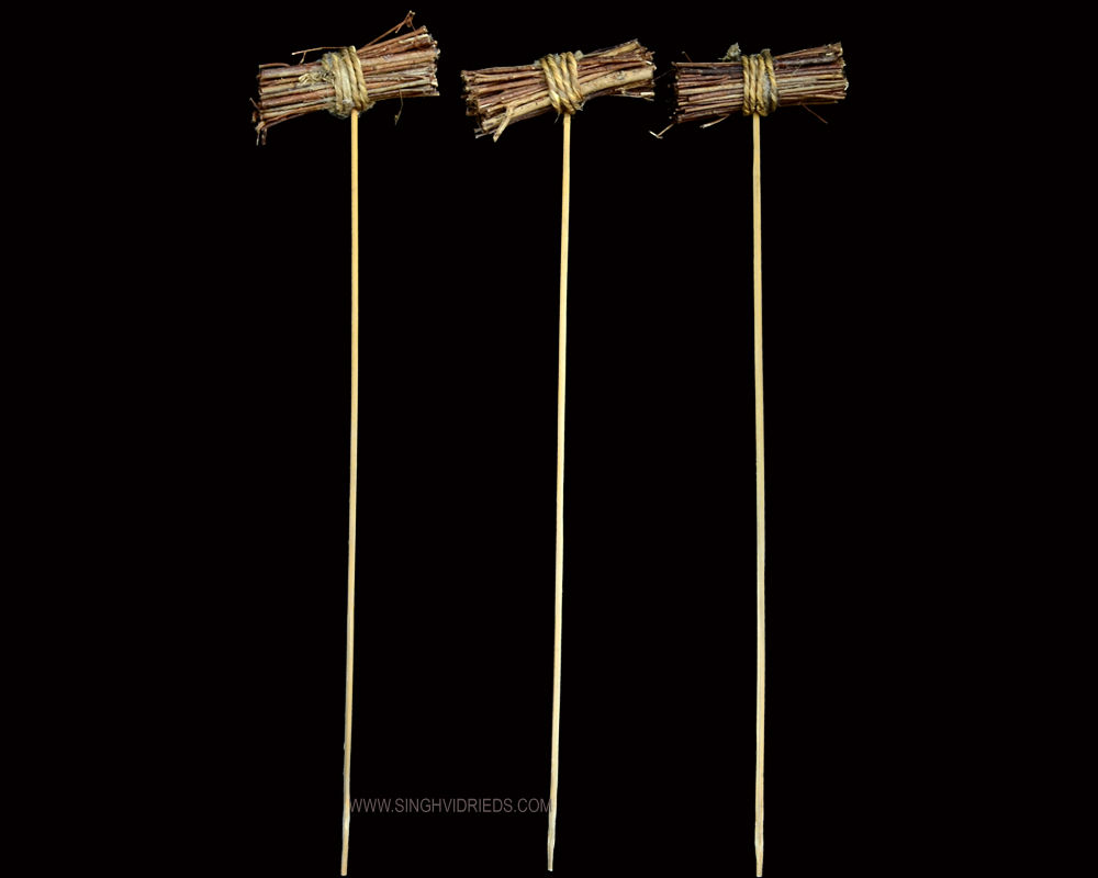 Browny Lady Posy 10cm Natural on Bamboo Stem