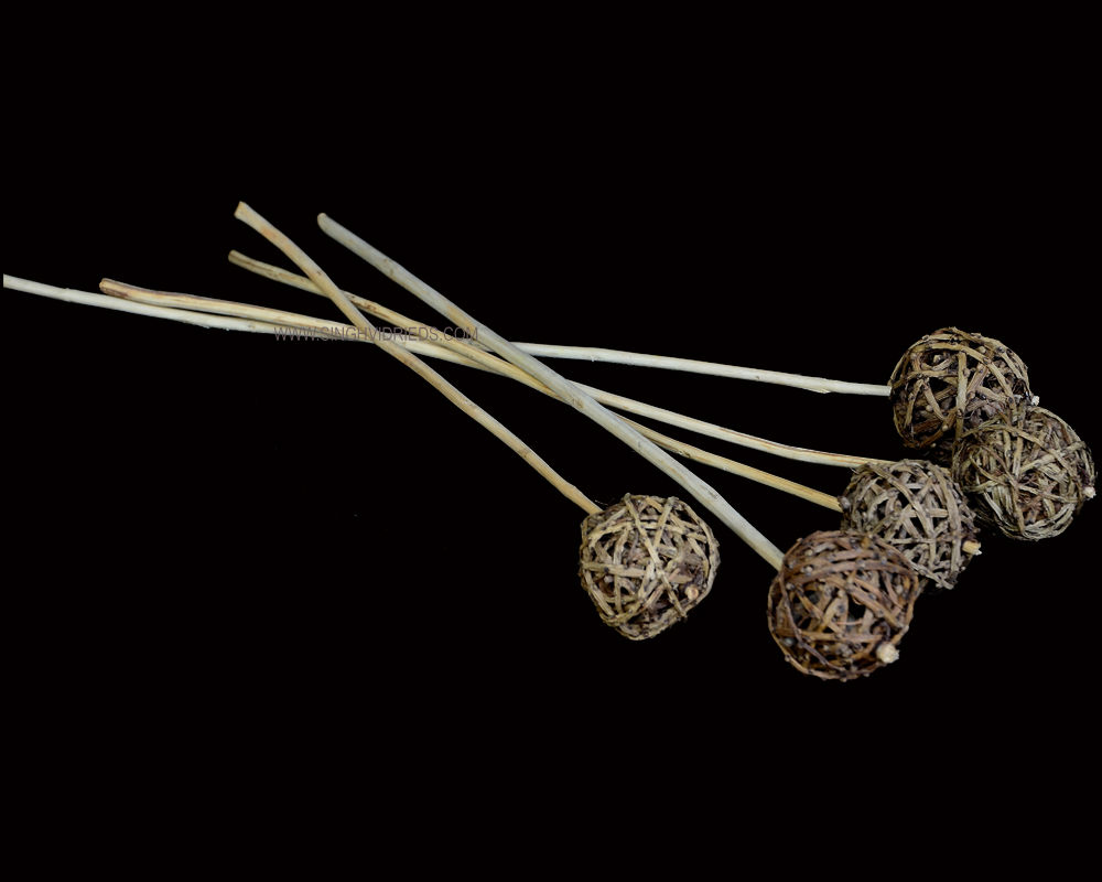 Tail Ball 6cm Natural on Lata Stem