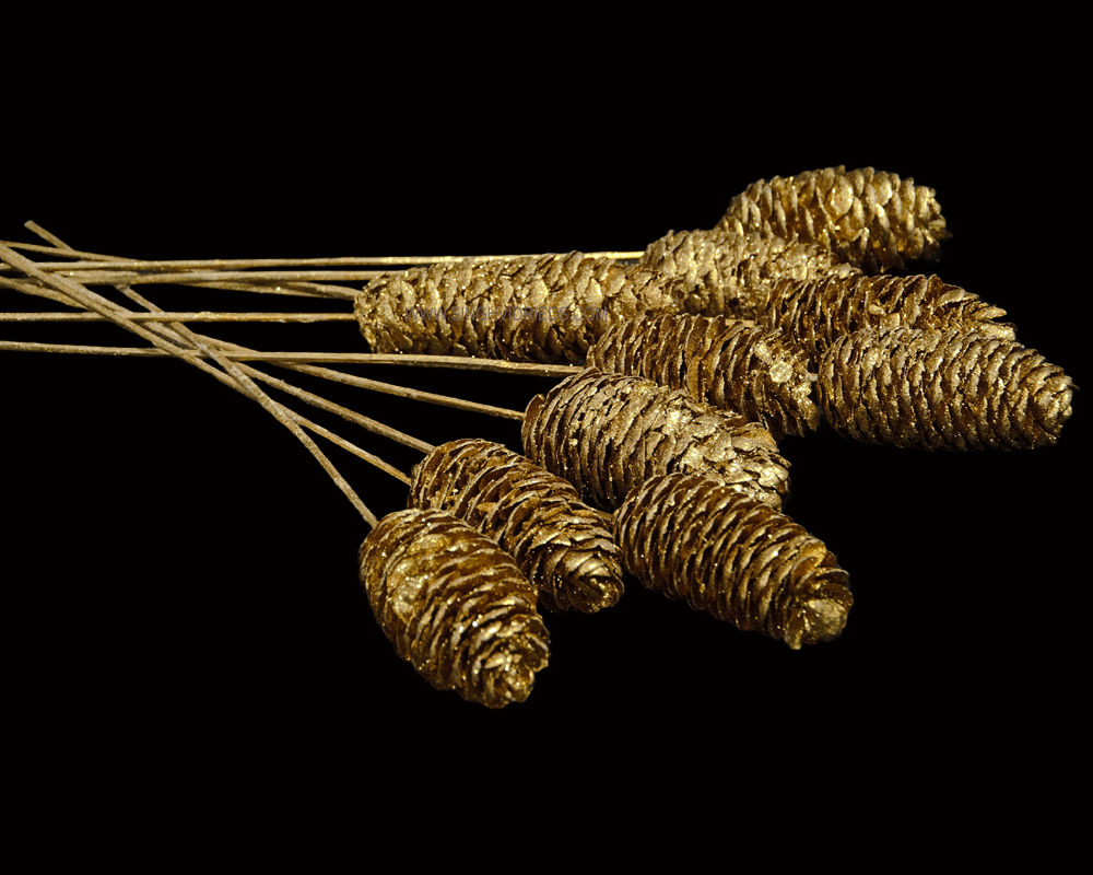 Rai Cone Gold with Gold Glitter on Bamboo Stem
