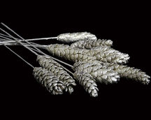 Indian Natural Dried
Indian Natural Dried Exporter
Natural Dry Flower
Bulk Dried Wholesale
Dried Flower Arrangements