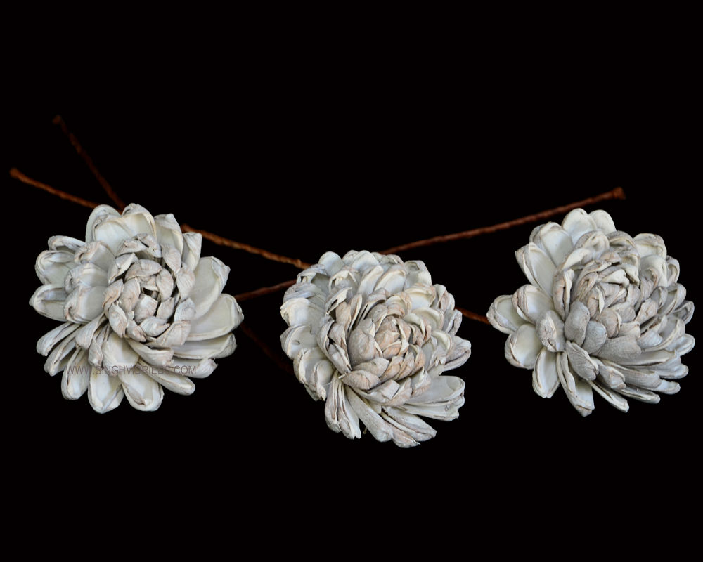 Sola Gerbera with Full Skin 10cm on Toby Stem White Wash