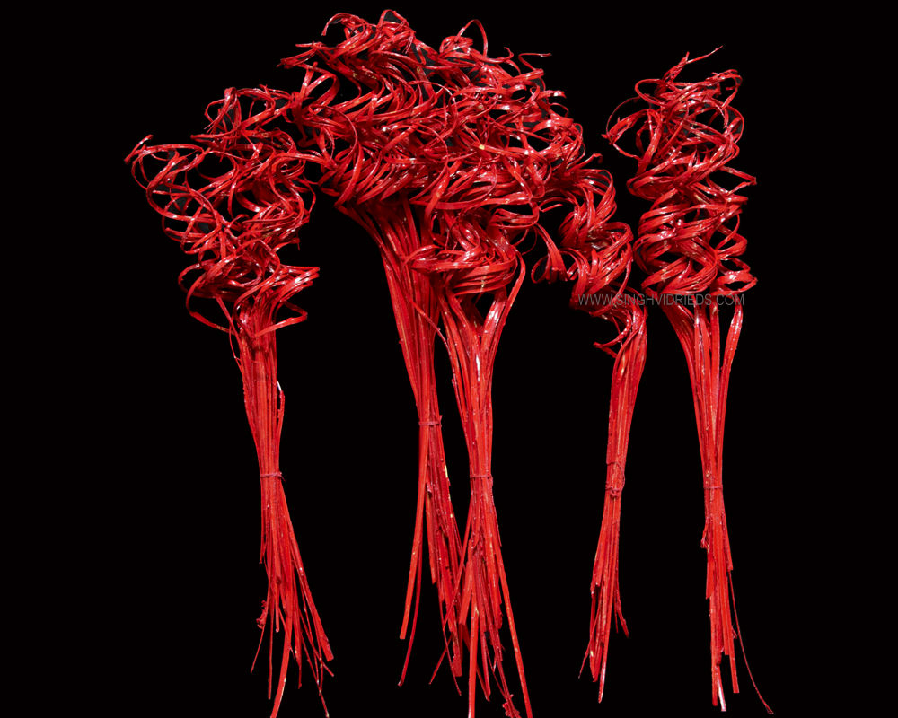 Palm Curly Ting Ting Open 25pcs Bunch Painted Red