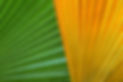 Green and Yellow