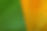 緑と黄色