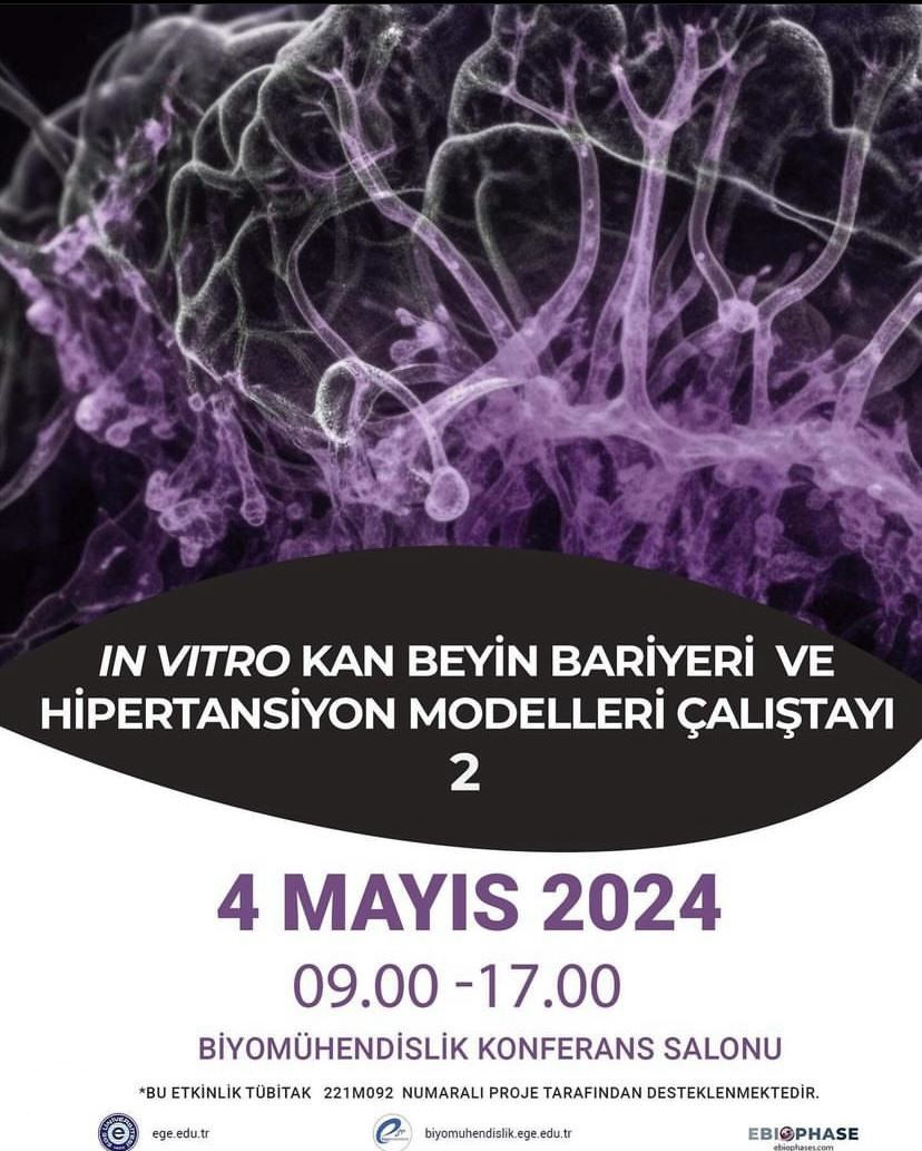 In Vitro Blood Brain Barrier and Hypertension Models Workshop 2