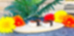 Starters