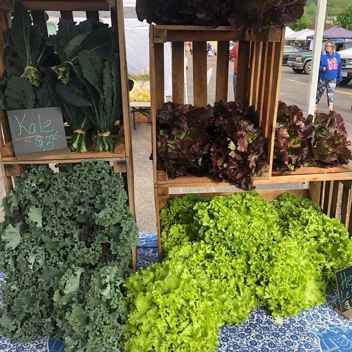 lettuce.jpeg