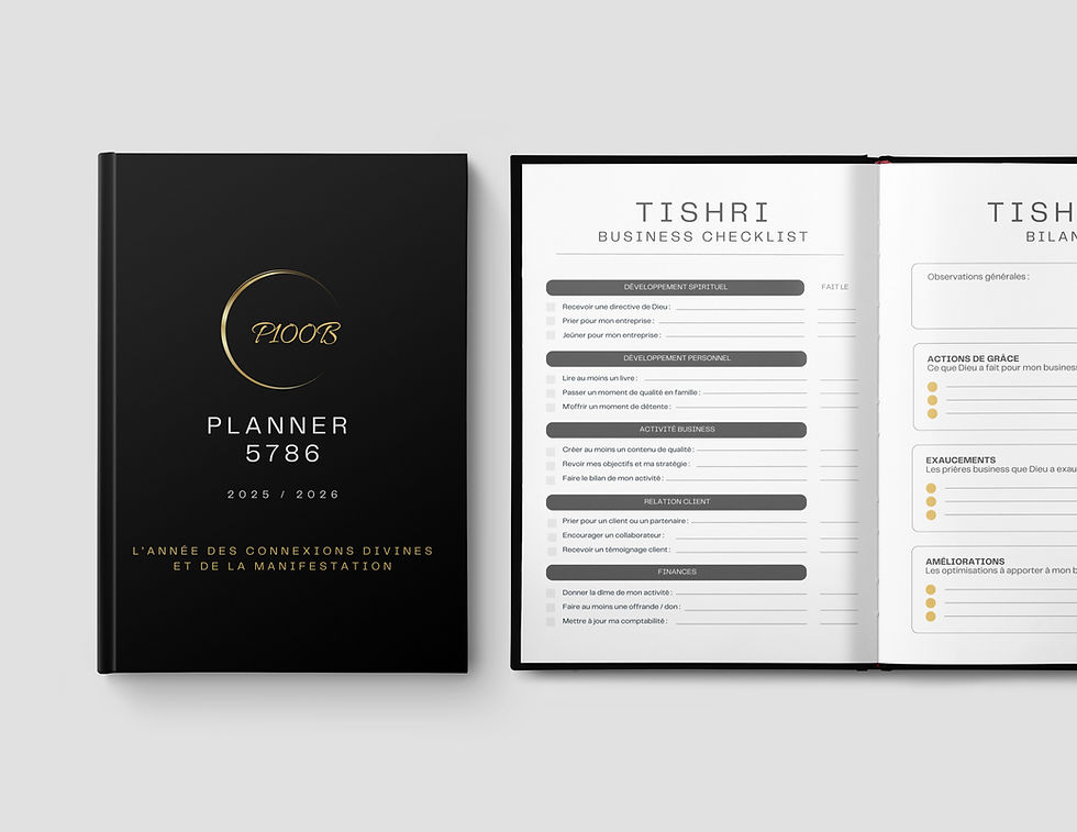 Miniature : P100B Planner Premium
