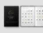 Miniature : P100B Planner Premium