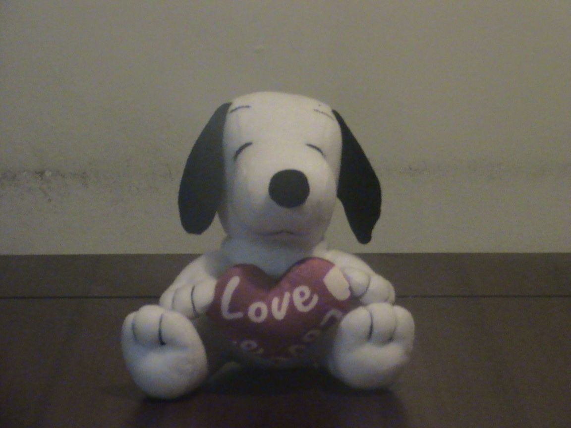 Puppy Amor