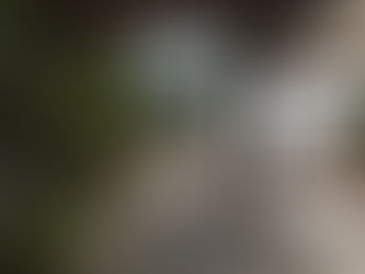 Experience Distinction at Magna Pacific Luxury Beachfront Villas