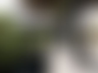 Why Choose a Saltwater Pool Over a Chlorine Pool for Healthier Swimming?