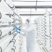 Laboratory