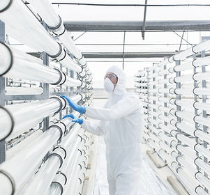 Engineer in Laboratory