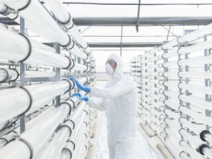 The Startup Genome: A Deep Dive into Biotech Lab Spaces