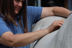 Impressionen Ausbildung Bewegte Pferde Akademie