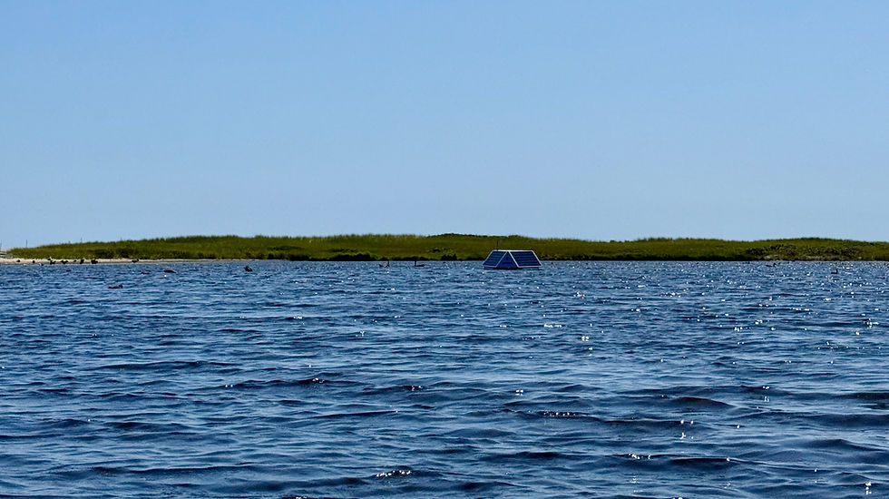 buoy_banner.jpeg
