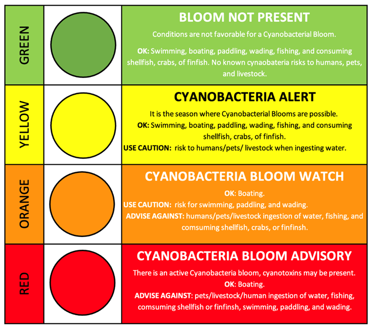 Bloom risks levels and associated recommendations