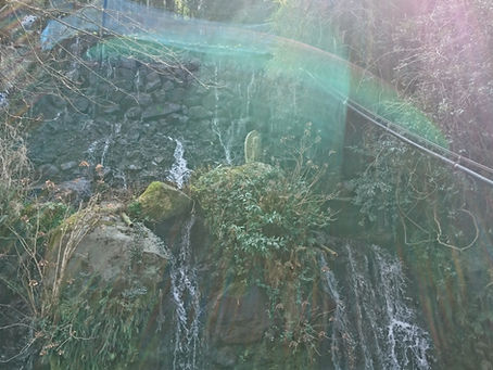 ホームページを開設しました!!