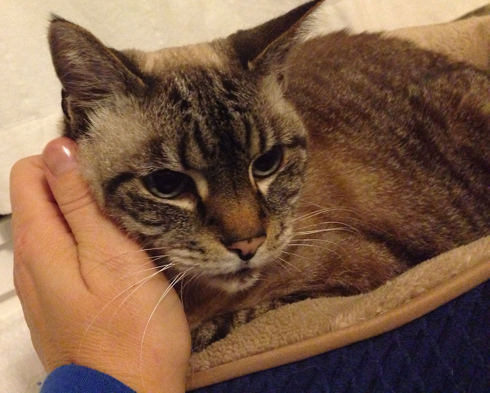 Comforting Zoe