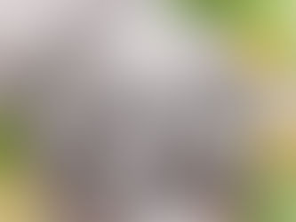 Octopus - Fresh raw materials ! 