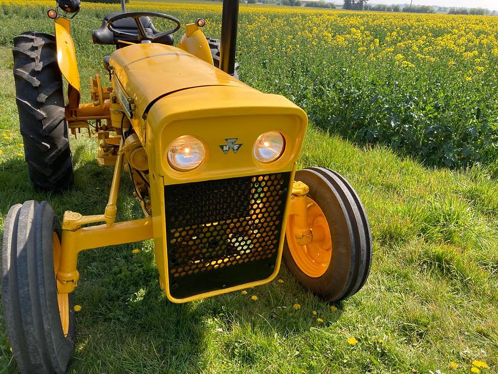 Thumbnail: Massey Ferguson Industrial