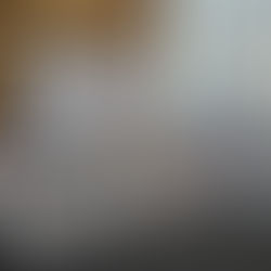 Preortho attends KORI 2024