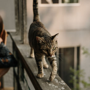 How to make hard decisions