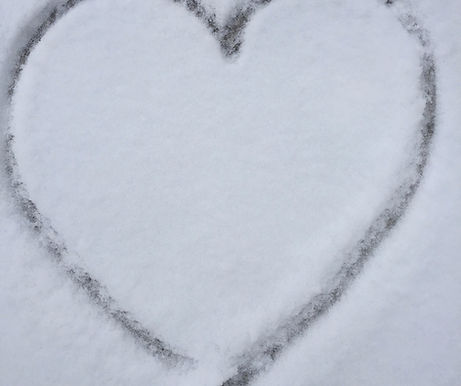 Hippocrateas Loves Bees, Loves You