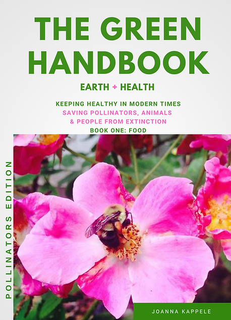 The Green Handbook, Earth + Health
