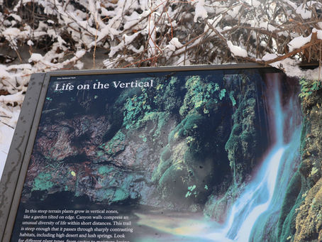Snow dusted Zion National Park