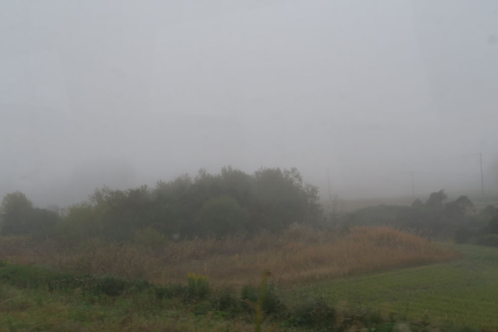 遠野は霧で迎えてくれた。