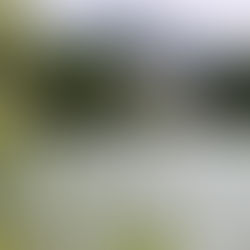 サウンドオブミュージックの作り方