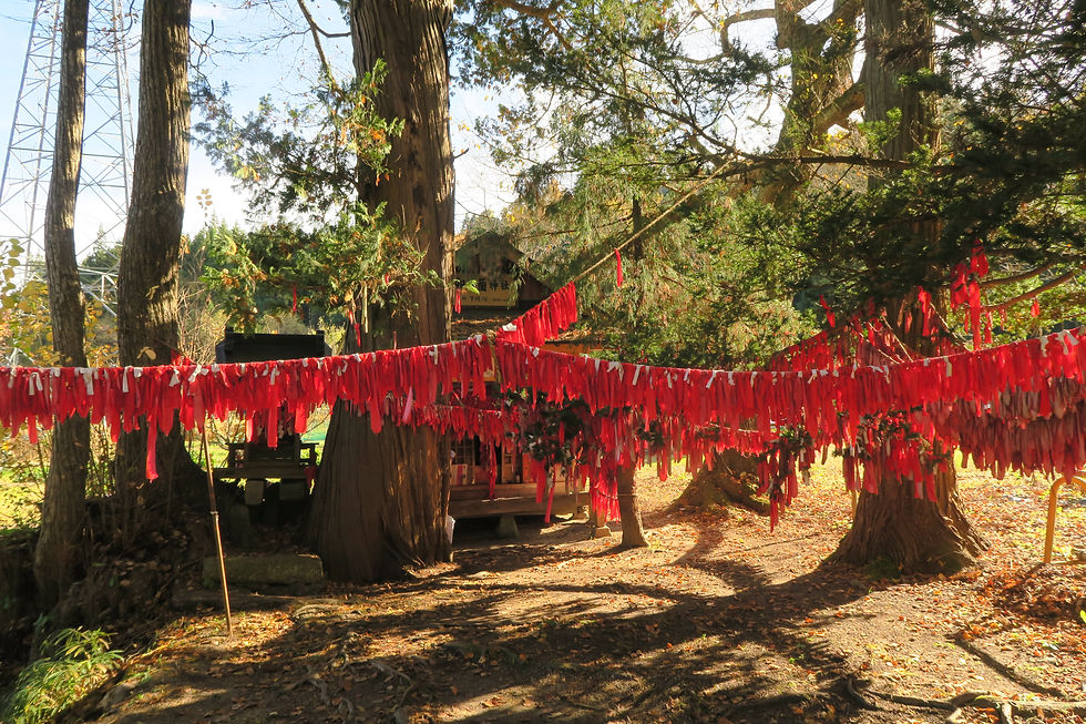 卯子酉神社を埋め尽くす願い。
