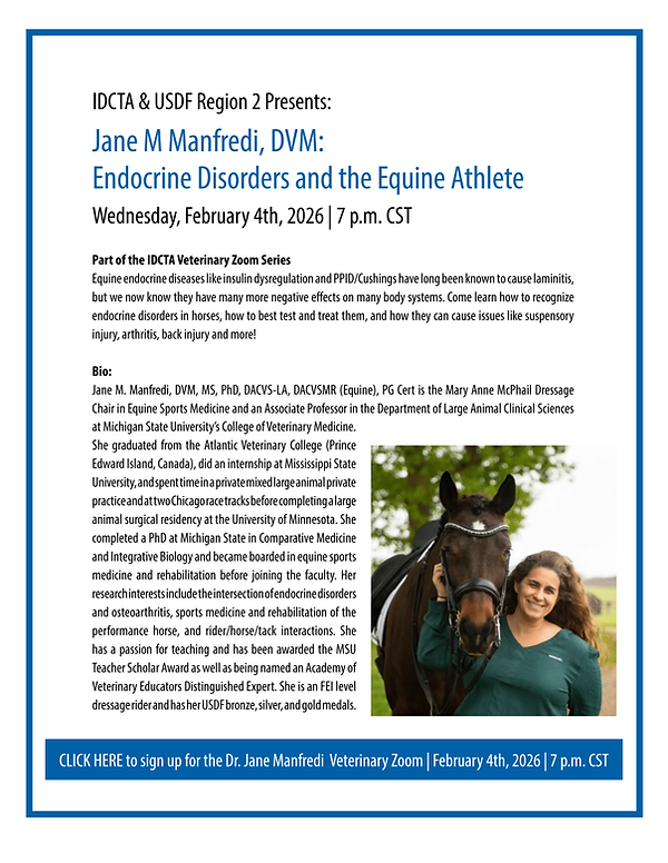 Dr Manfredi Vet Zoom Flyer February 4 2026 final.png