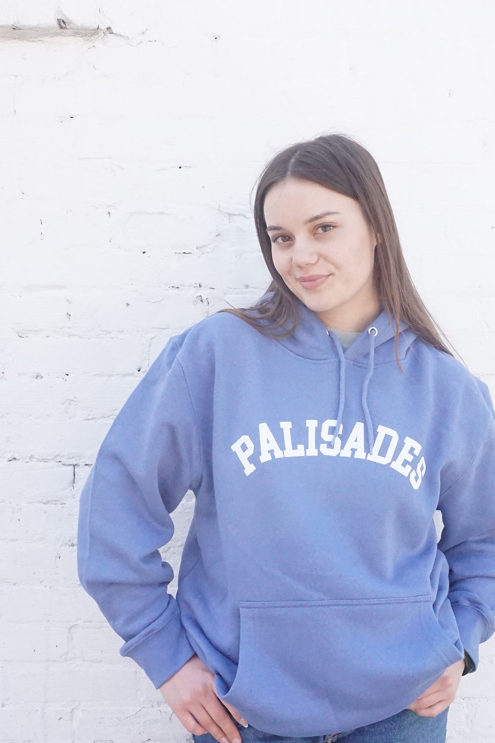 Thumbnail: Adults Heavy Varsity Hoodie Dusty Blue